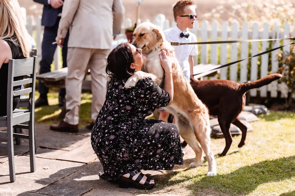 dog at the wedding