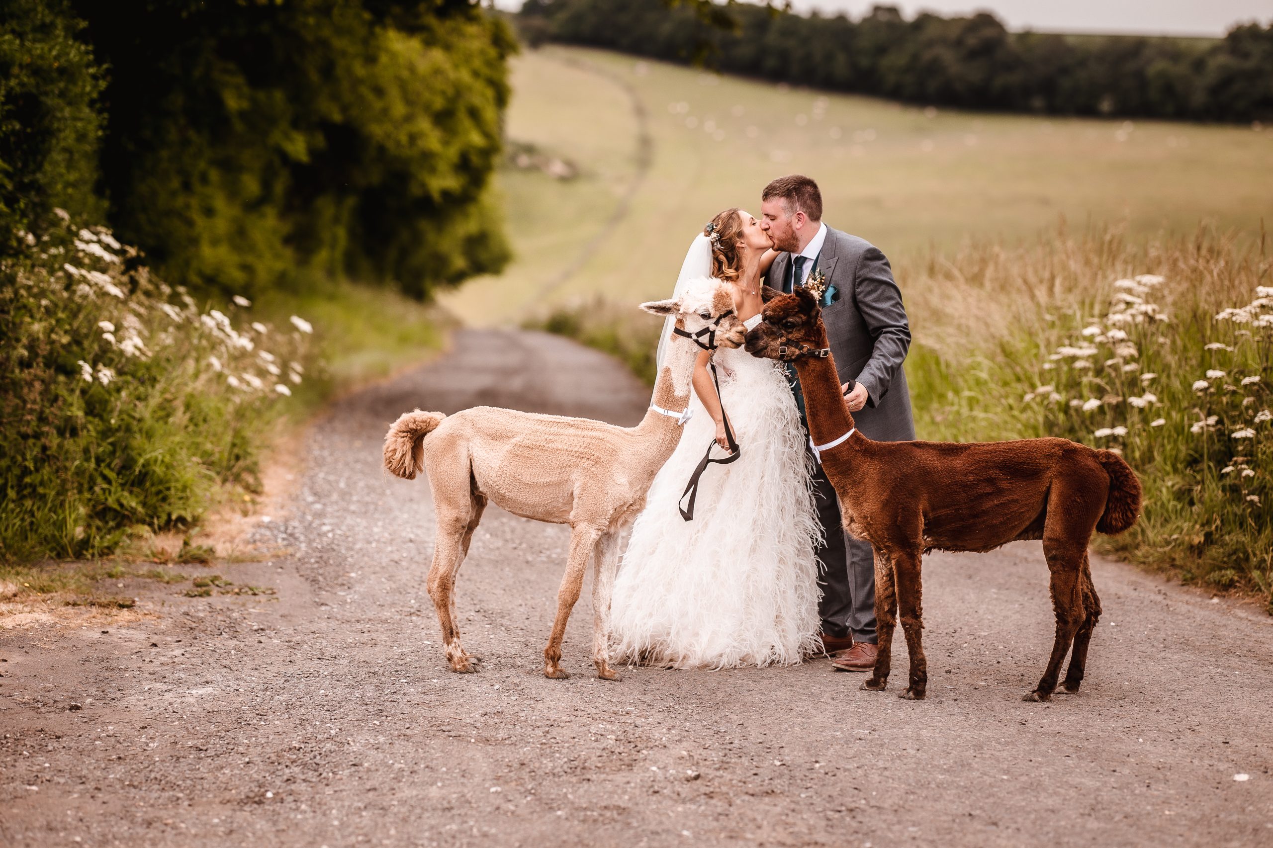 wedding photo bride and groom kissing at Bake Barn Salisbury Wiltshire