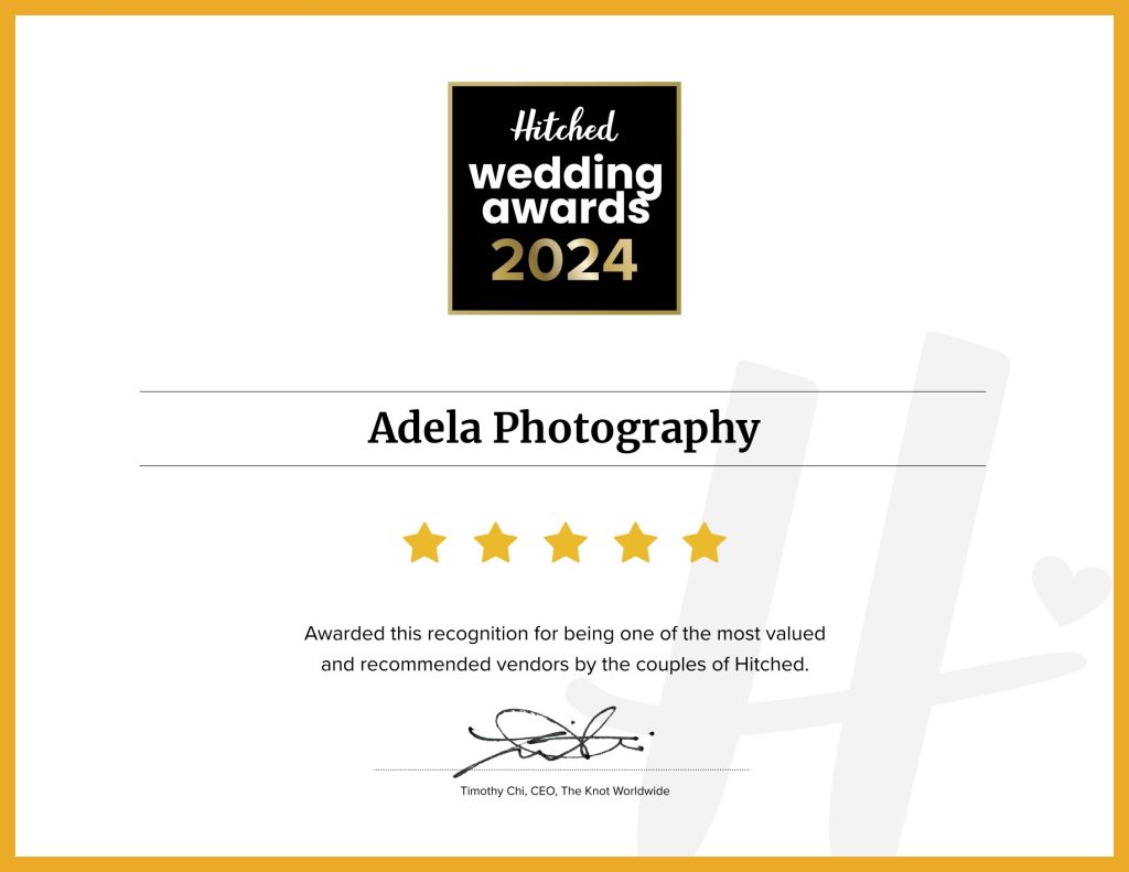 Hampshire Petersfield award winning wedding photographer