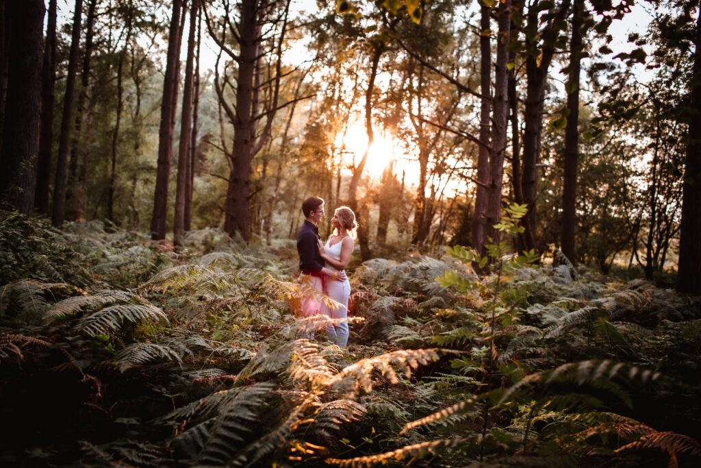A couple stands embracing in a sunlit forest surrounded by ferns and tall trees, with warm evening light streaming through the branches.