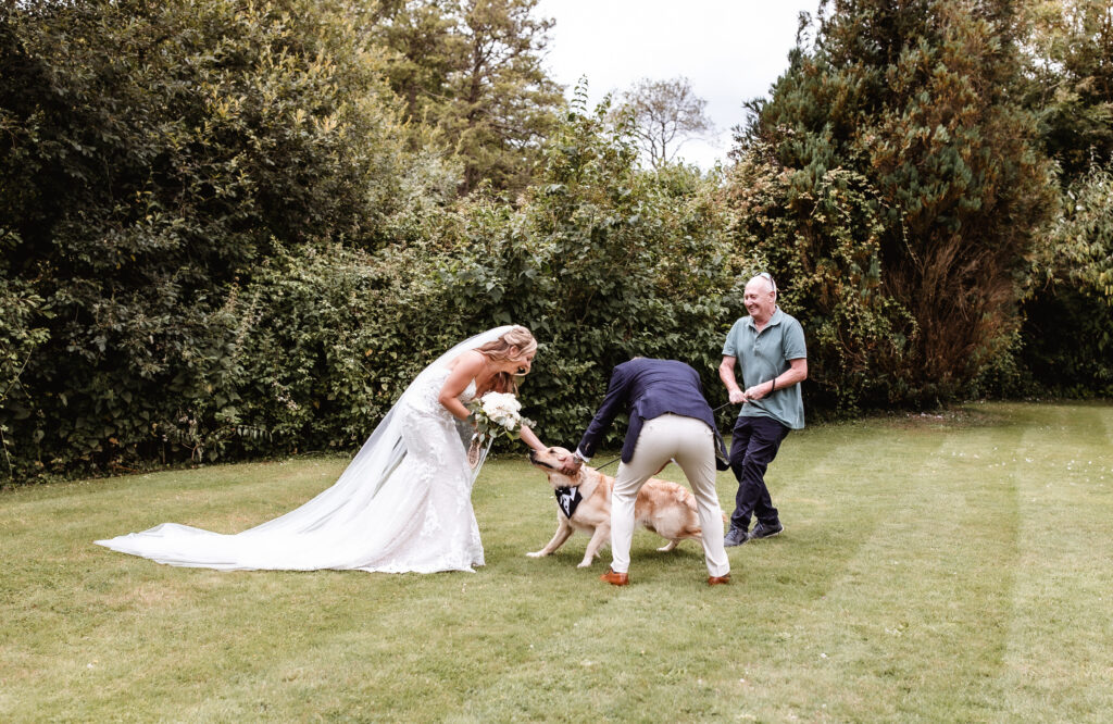 A bride in a white dress and a man in a blue suit greet two dogs on a grassy lawn at their dog friendly wedding in Hampshire, while another man in a green shirt holds the leashes. Trees and bushes fill the background.