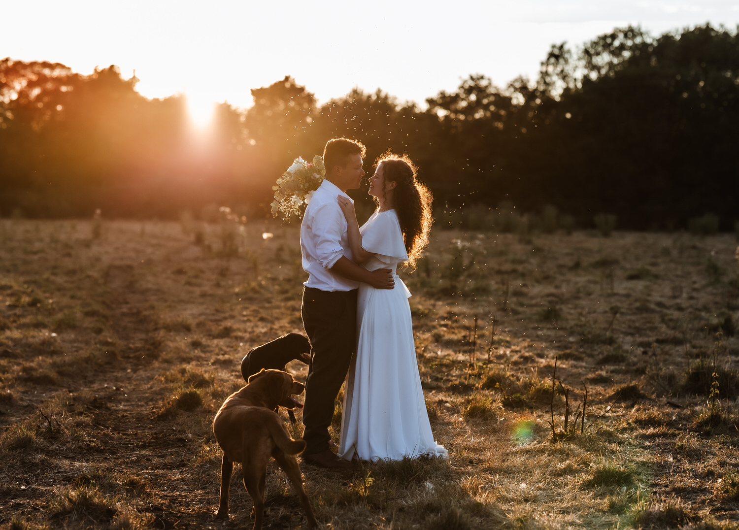 A bride and groom stand together outdoors at sunset, embracing in a field, with two brown dogs nearby. The sunlight creates a warm glow around them, highlighting the romantic moment—perfectly captured by a Hampshire wedding photographer.